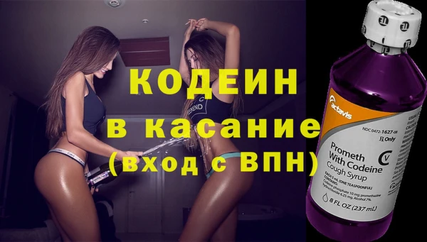 твердый Карпинск