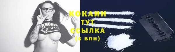 мяу мяу мука Касимов