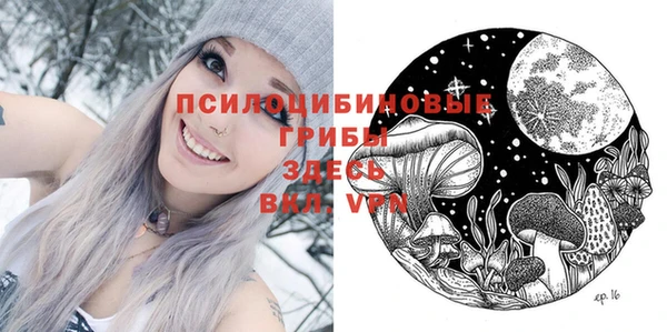 твердый Карпинск
