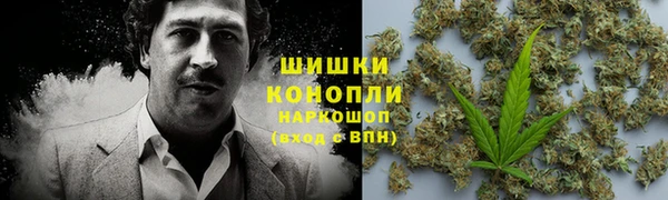 твердый Карпинск