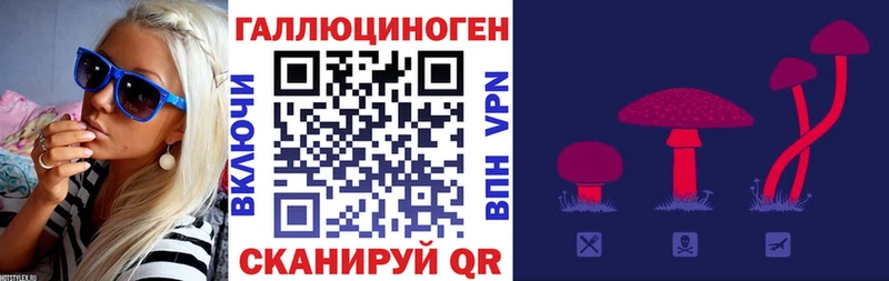 Купить где  Заволжск  Галлюциногенные грибы Magic Shrooms 